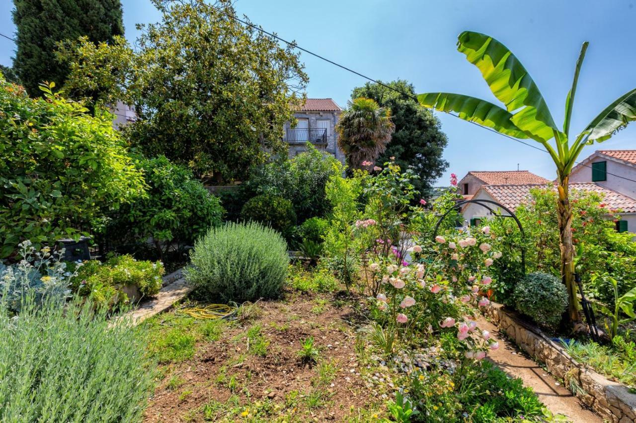 Apartments Nautica, מאלי לוסיניי מראה חיצוני תמונה